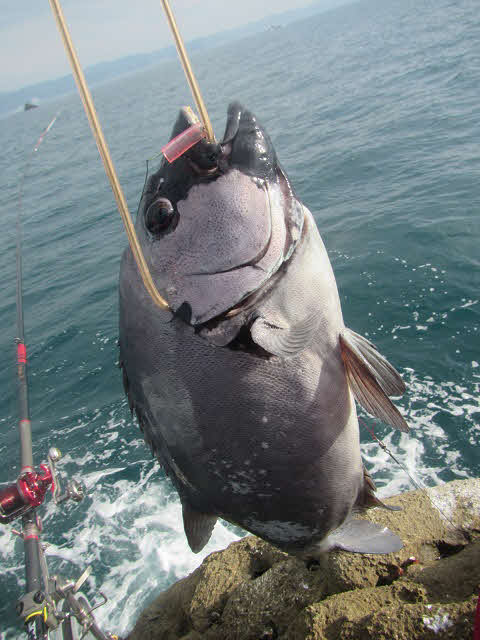 太海「新海荘」平松三男さん