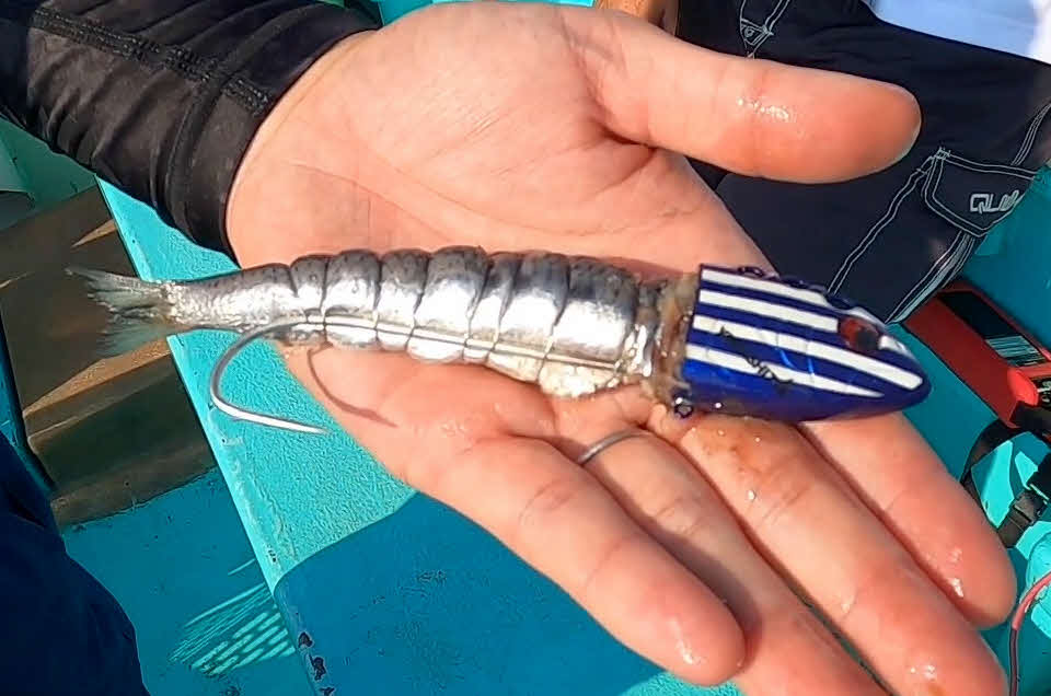タチウオテンヤはこんな形