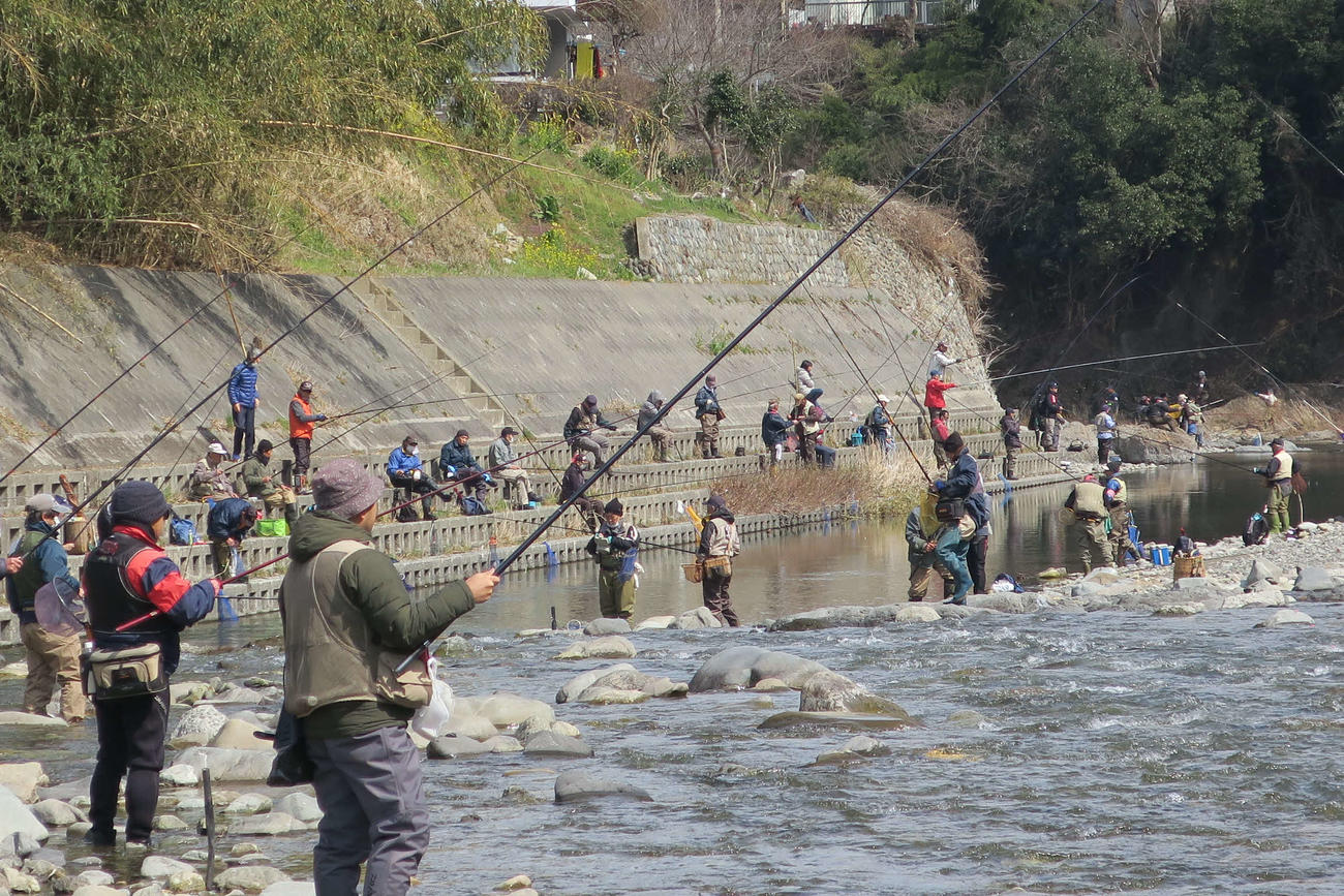 解禁を待ちわびていた釣り人は思い思いの場所でサオを出す（秋川漁協提供）