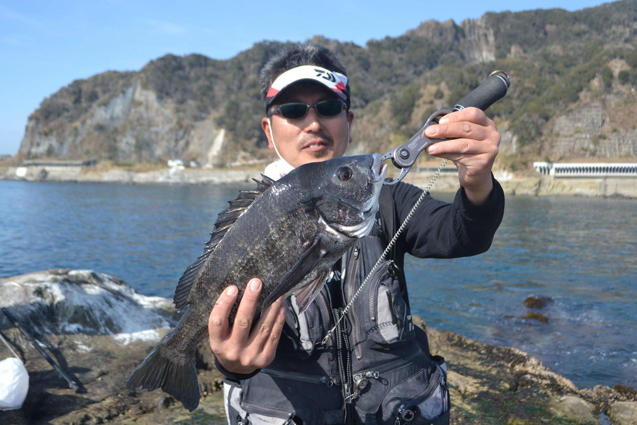 平島で良型クロダイを4匹釣り上げた白石さん
