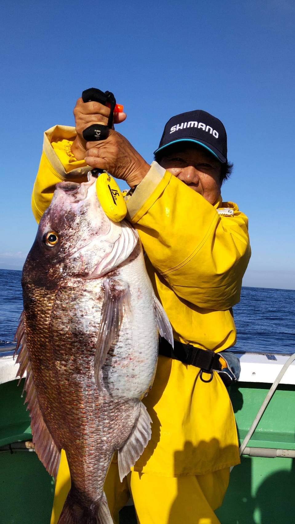 連日5キロ超の大型マダイが釣れ続けている松丸。今日3日は7キロも!!