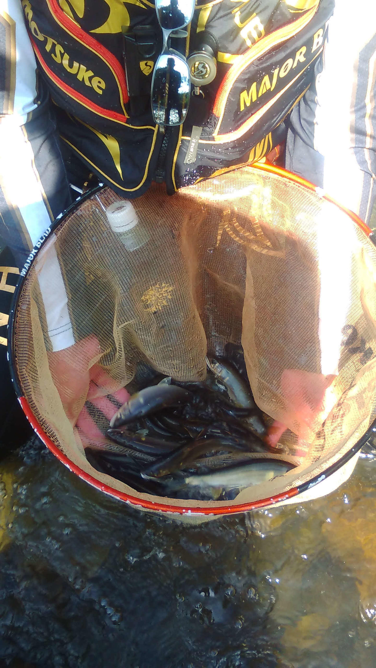 久慈川では浅瀬を中心に12～20センチのアユが掛かった