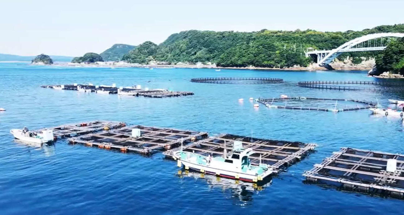 穏やかな湾内の釣り場で釣りざんまい