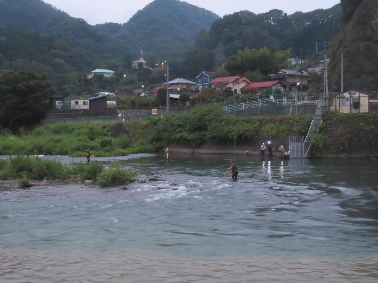 桂川アユ自由釣り解禁で日の出とともにサオを出すファンたち