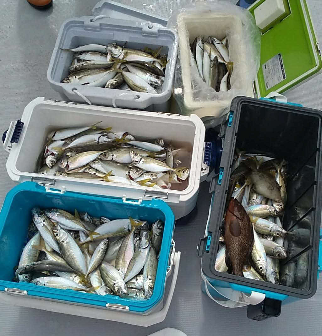乗船者全員の釣果