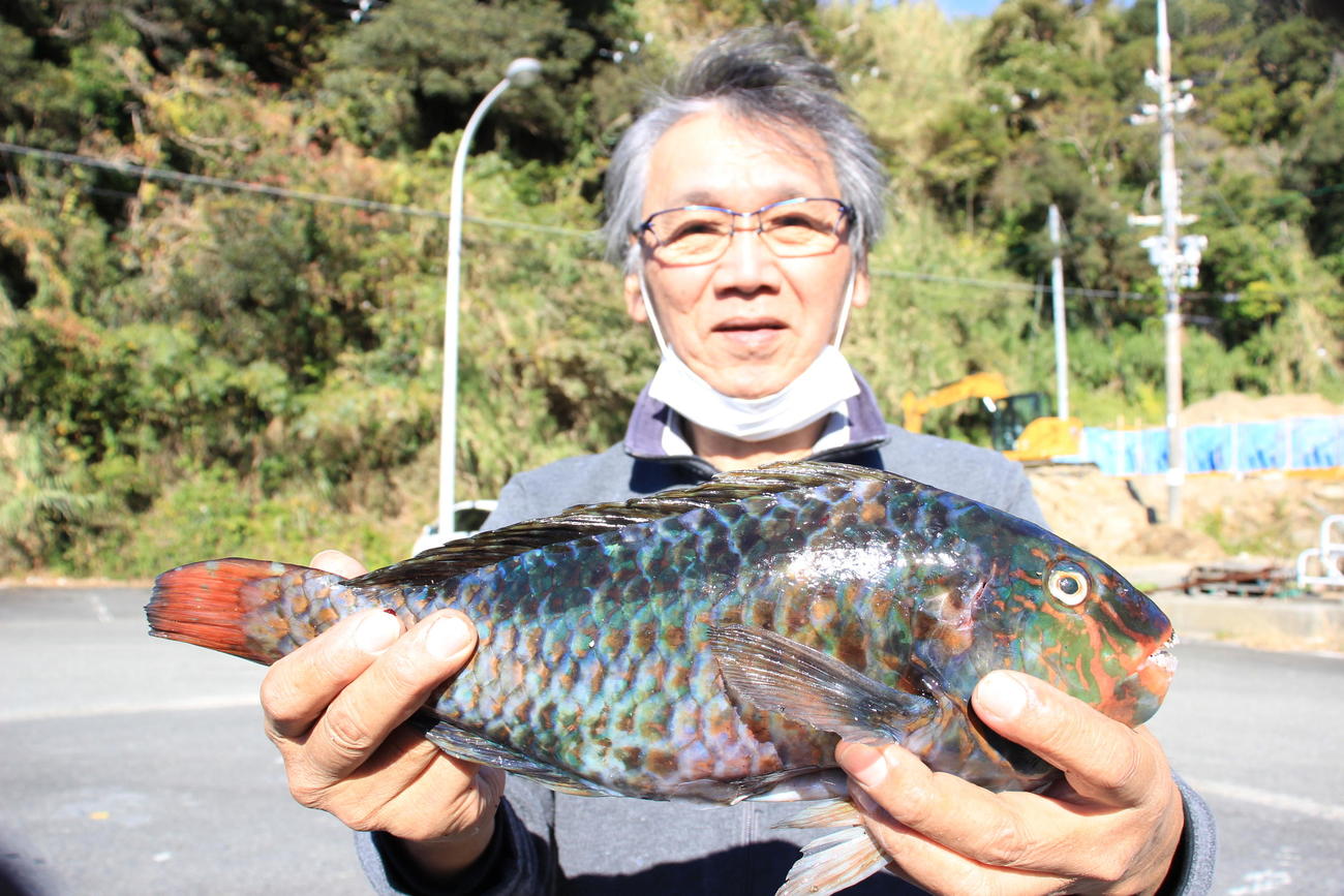 岡田さんが釣ったブダイ