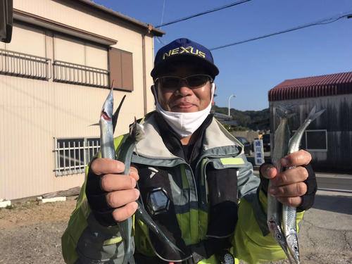 徳島 堂ノ浦 筏から興奮 青物落とし込み釣り 釣り写真ニュース 日刊スポーツ