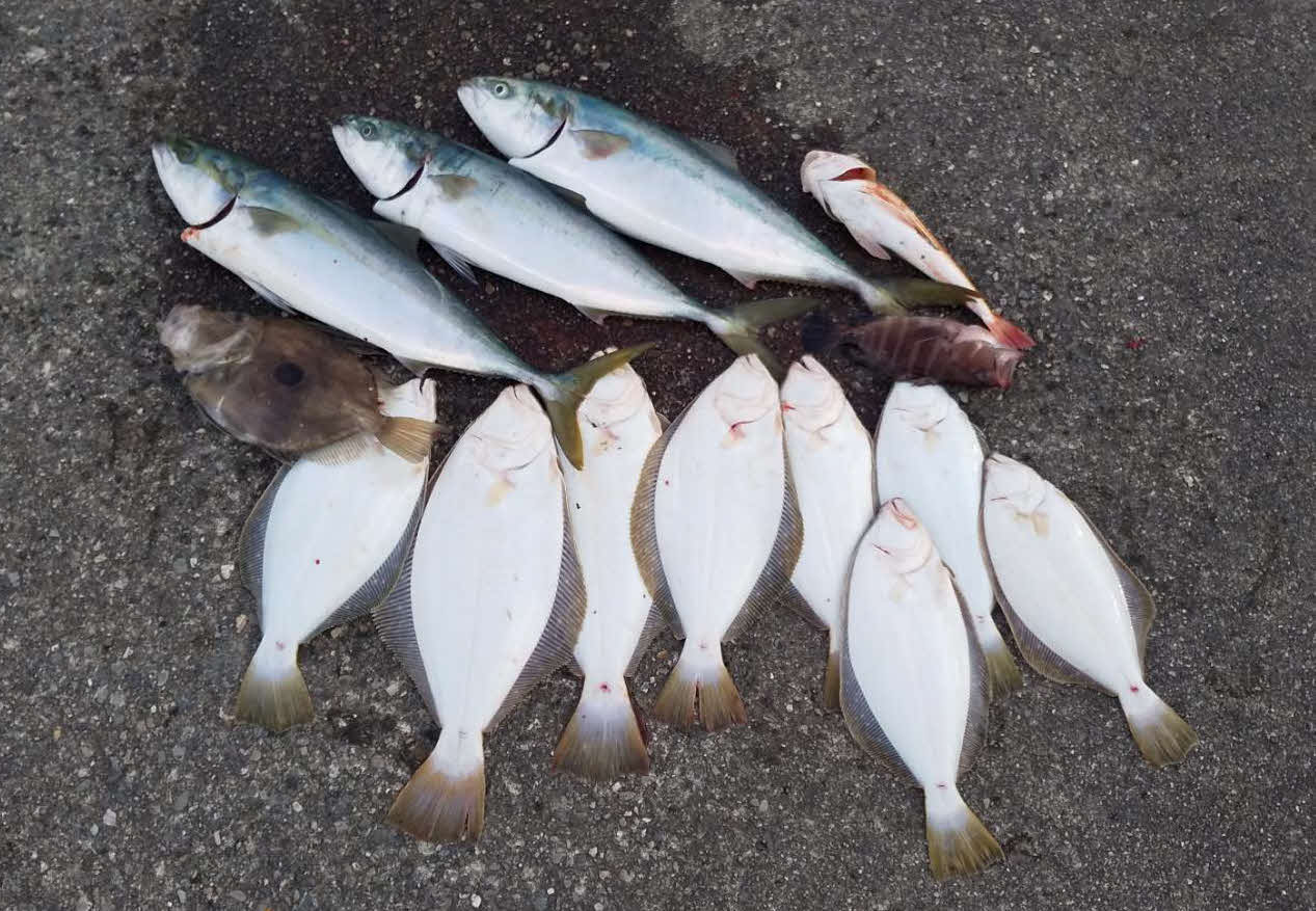 山口さん夫婦の釣果
