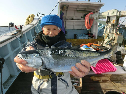 北海道 白老沖 シーズン序盤も銀ピカのサクラマス48 50センチ３匹 釣り写真ニュース 日刊スポーツ