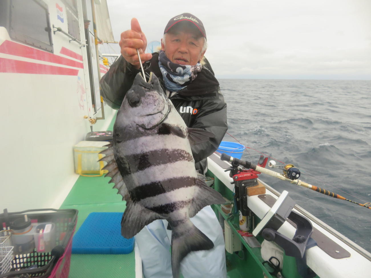 東京湾マダイダービーで過去3連覇の実績を持つ山口雄一さんはイシダイゲット！