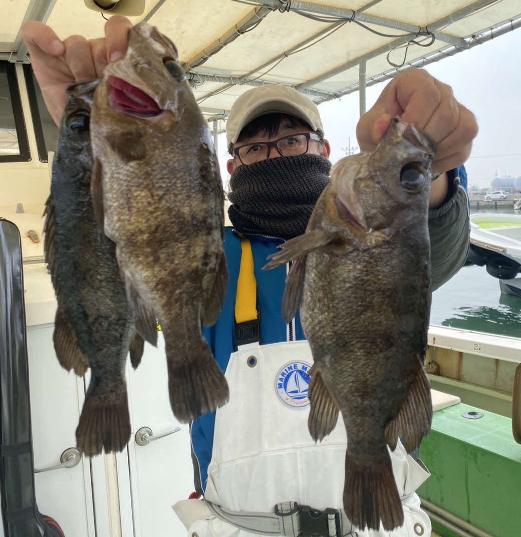記者がイカナゴの餌で仕留めた尺メバル