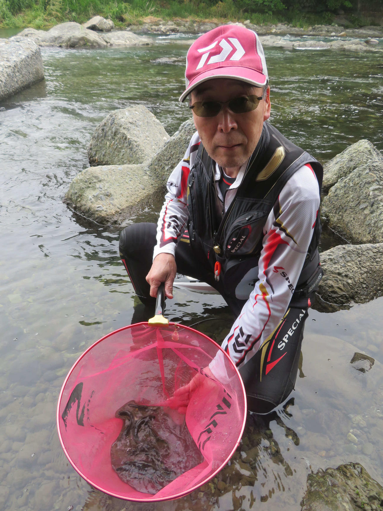 興津川のアユ解禁日にサオを出した岡部春美さんは、厳しい条件下にもかかわらず計8匹をゲット