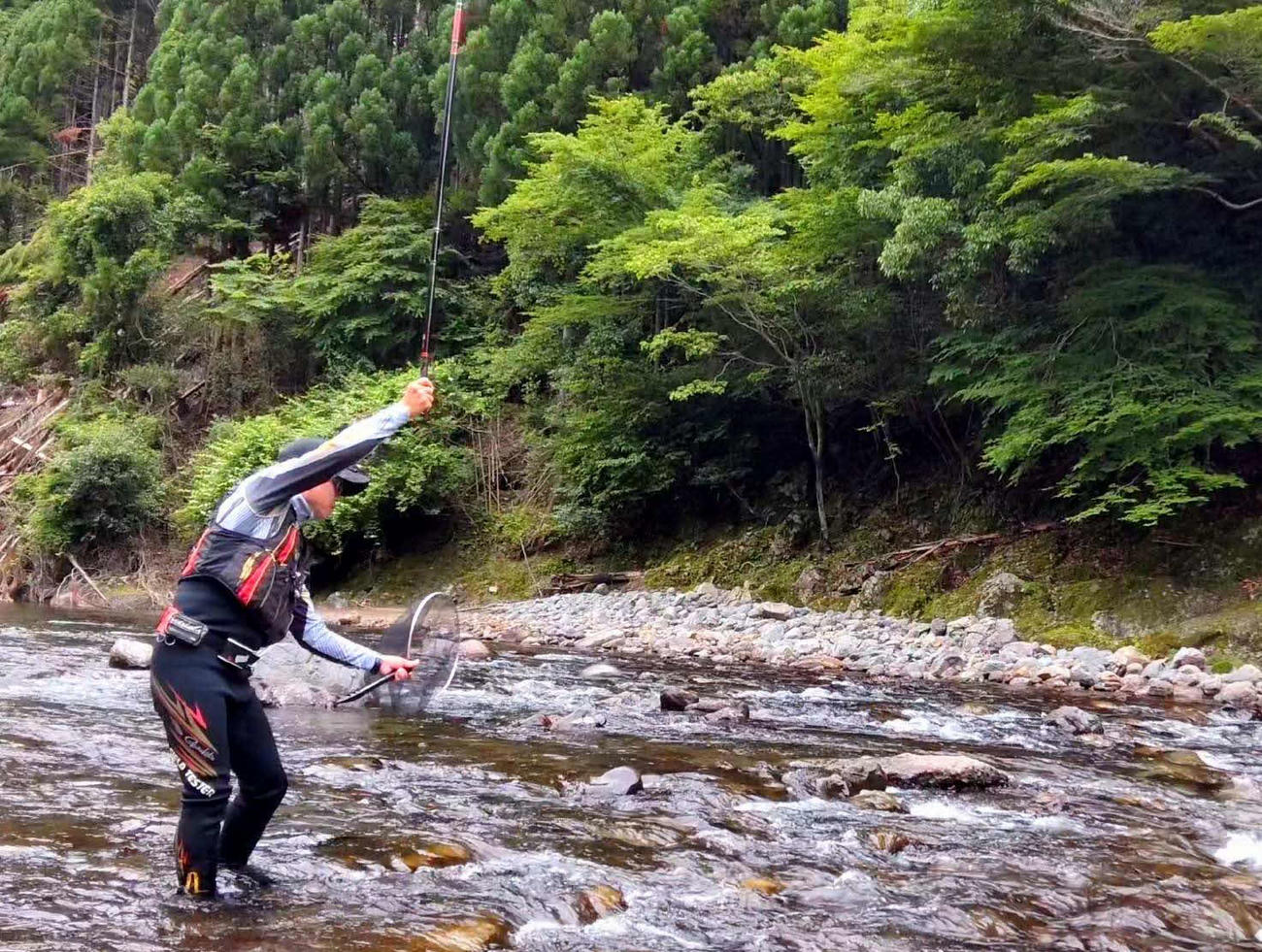 大石の頭を狙って次々に野アユを掛けていく筆者