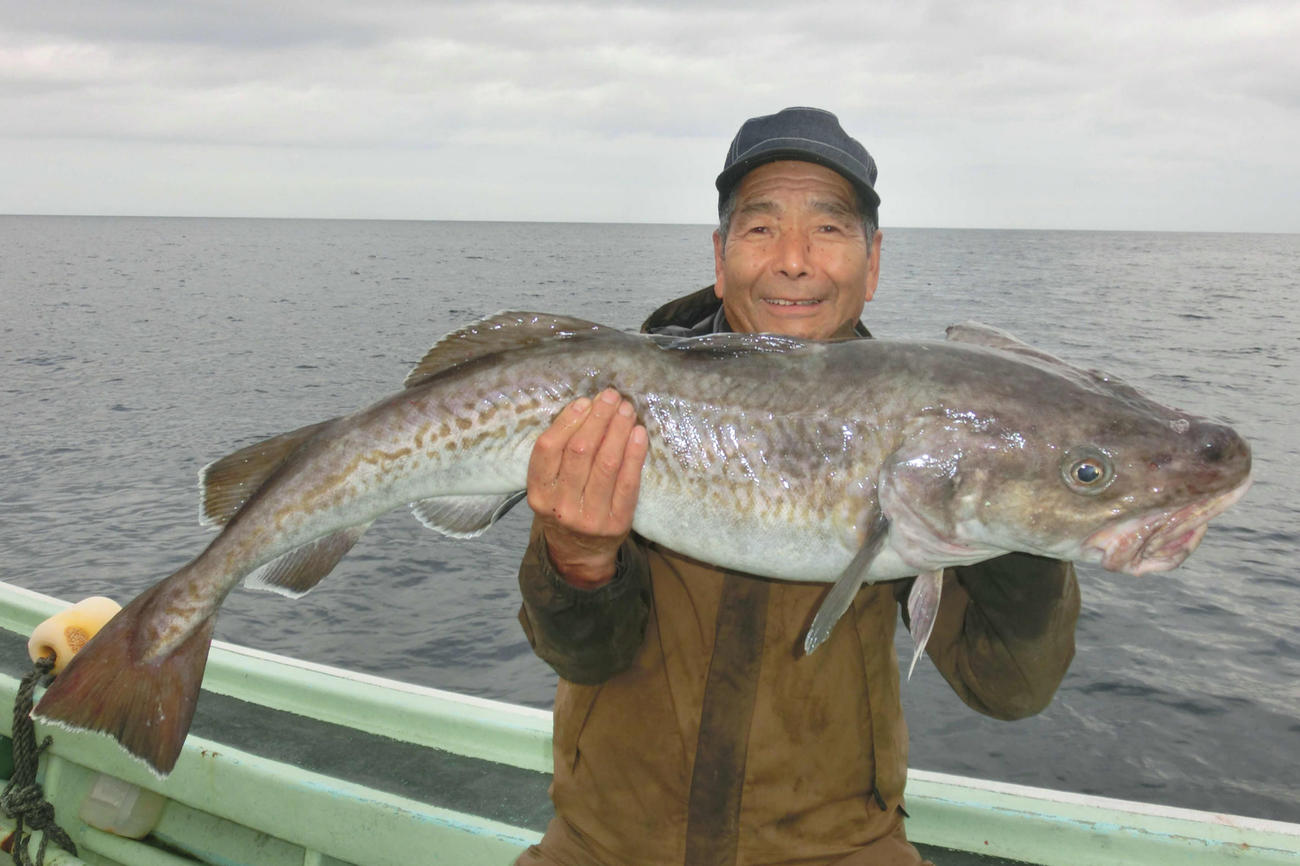 積丹方面川白沖で1メートルの大型マダラを釣り上げた恵庭市の菊地正司さん