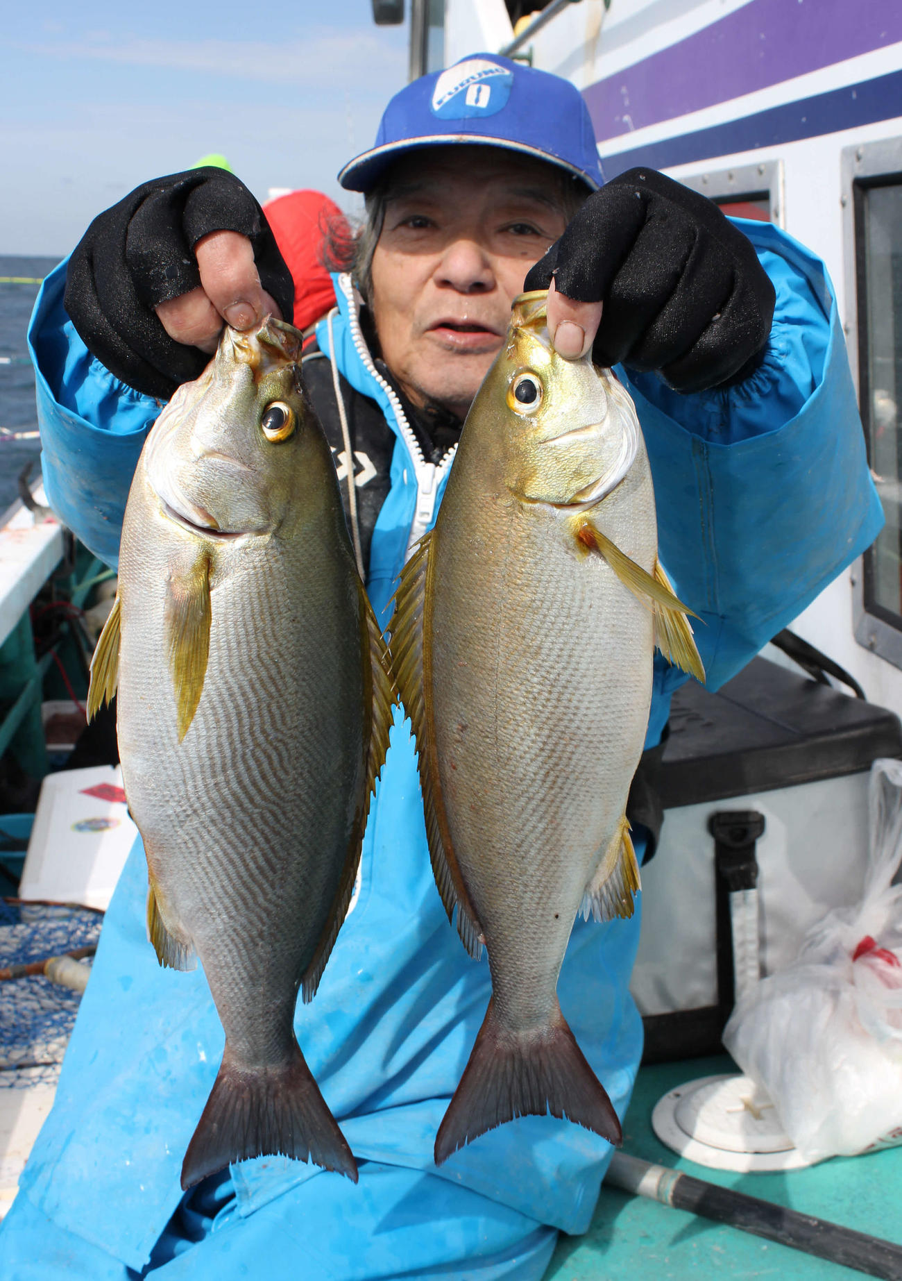 山本さんが釣り上げた脂の乗った40、42センチのイサギ