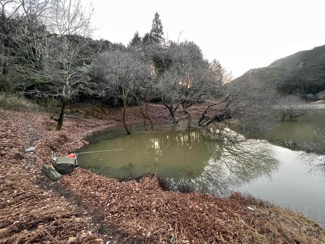 今回選んだワンドの釣り場