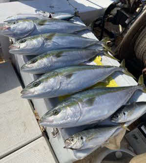 釣果