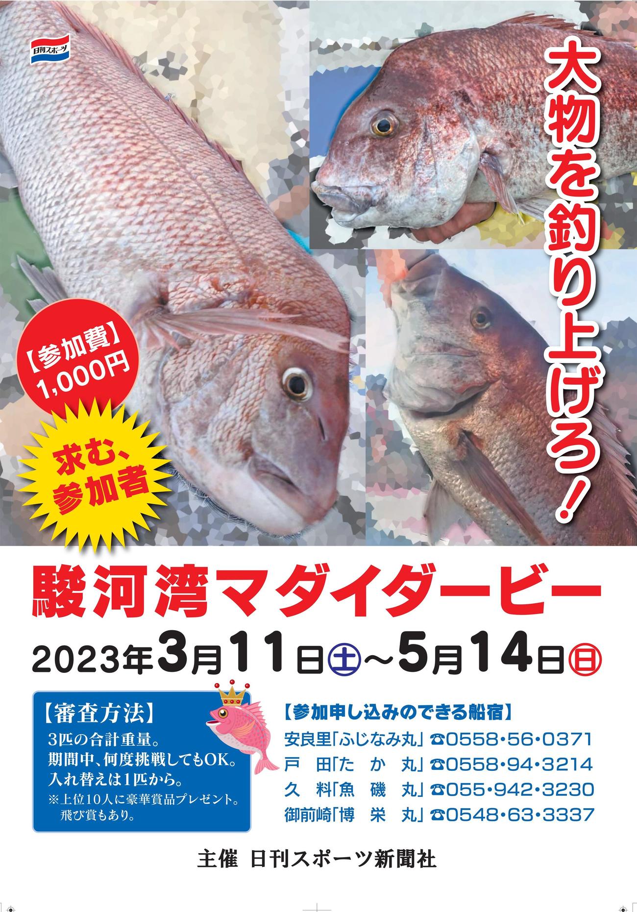 駿河湾マダイダービーは5月14日まで開催