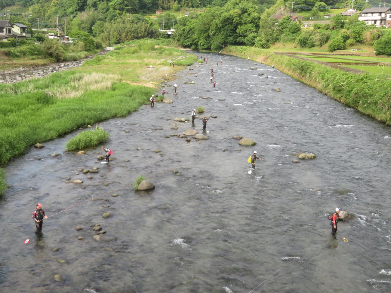 狩野川の旭水園前でアユ解禁を楽しむファンたち。120人以上が解禁に挑んだ