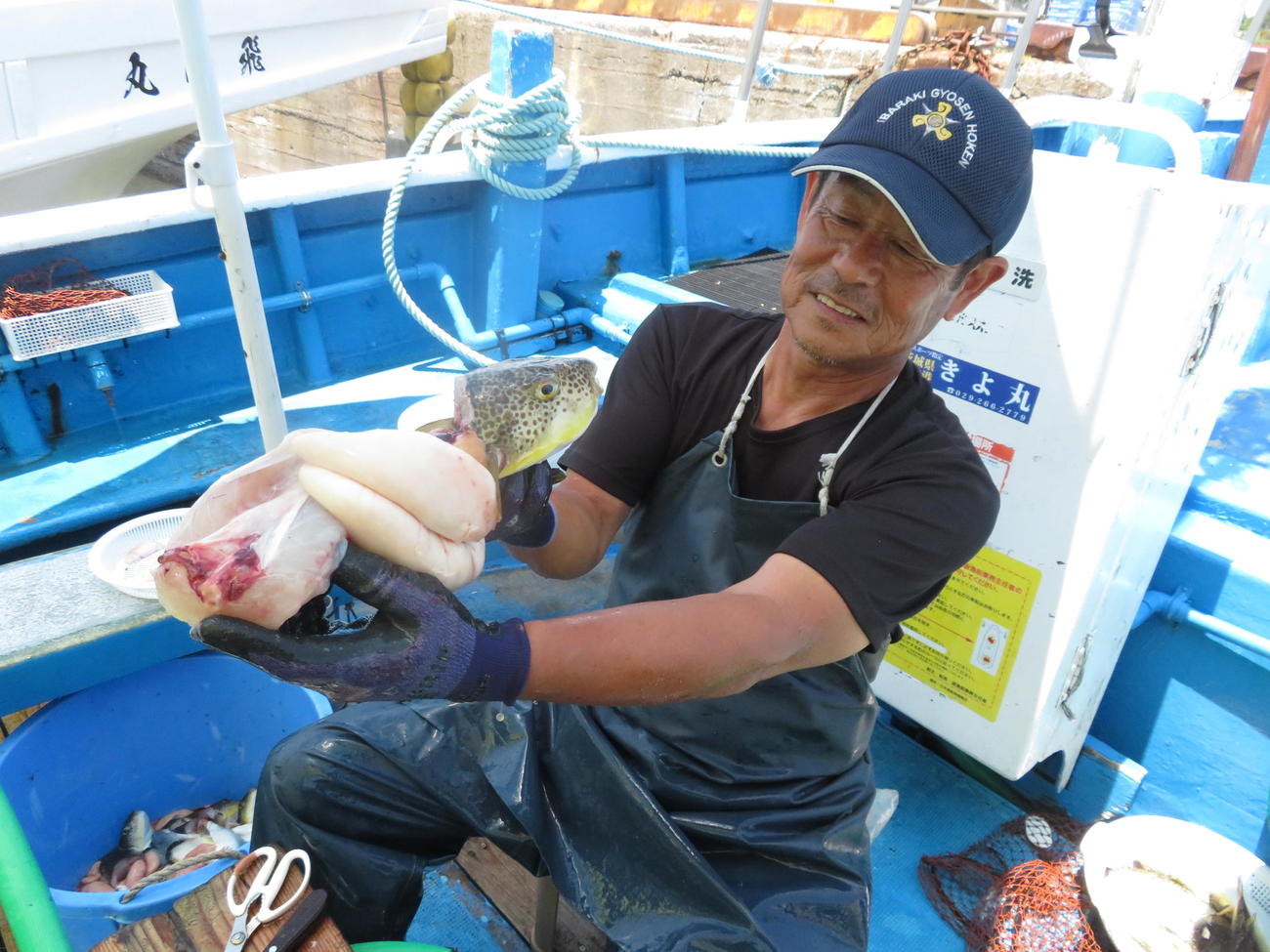 最大39センチのたっぷり白子を披露する飛田船長