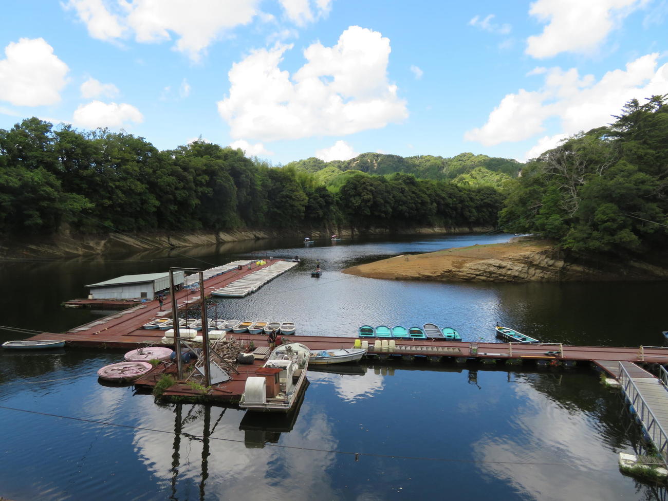 三島湖「ともゑ」は夏ベラ真っ盛り。技術＆情報で攻略しよう！