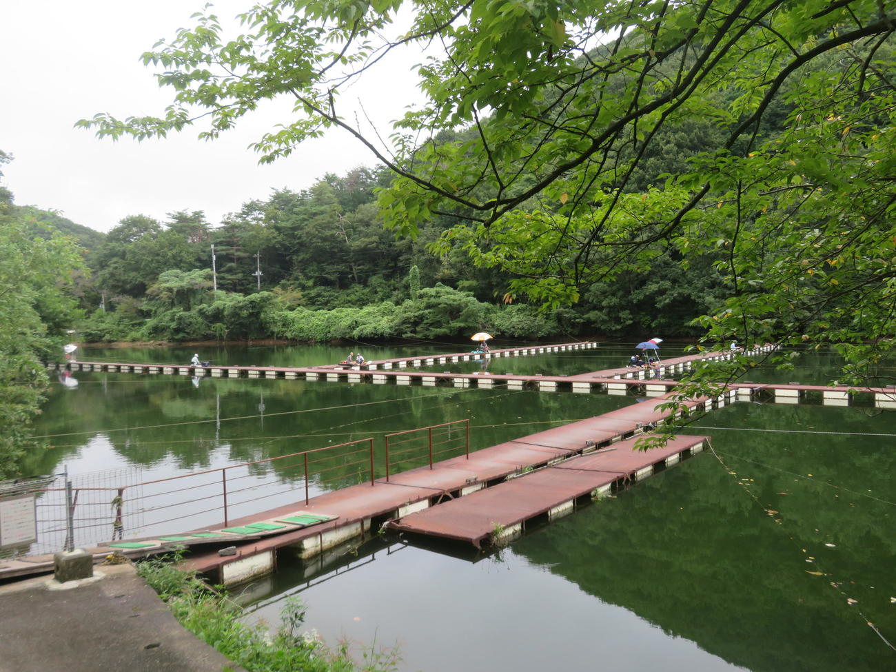 円良田湖のワカサギ釣りは10月20日スタート