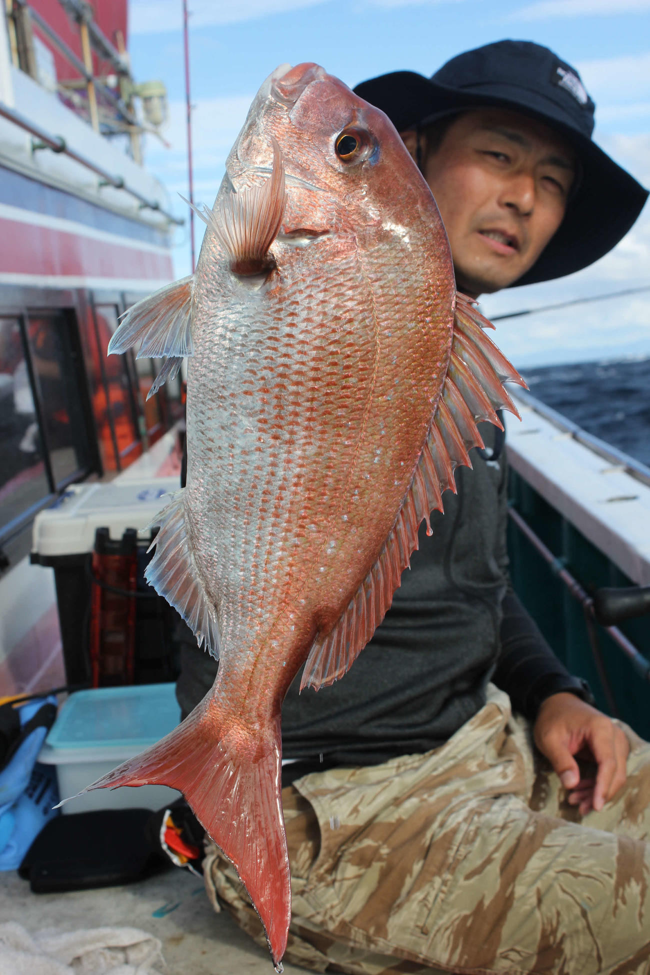 川崎大佑さんが釣り上げた50センチのマダイ