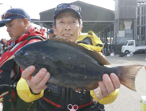 美濃選手が釣った40センチのグレ