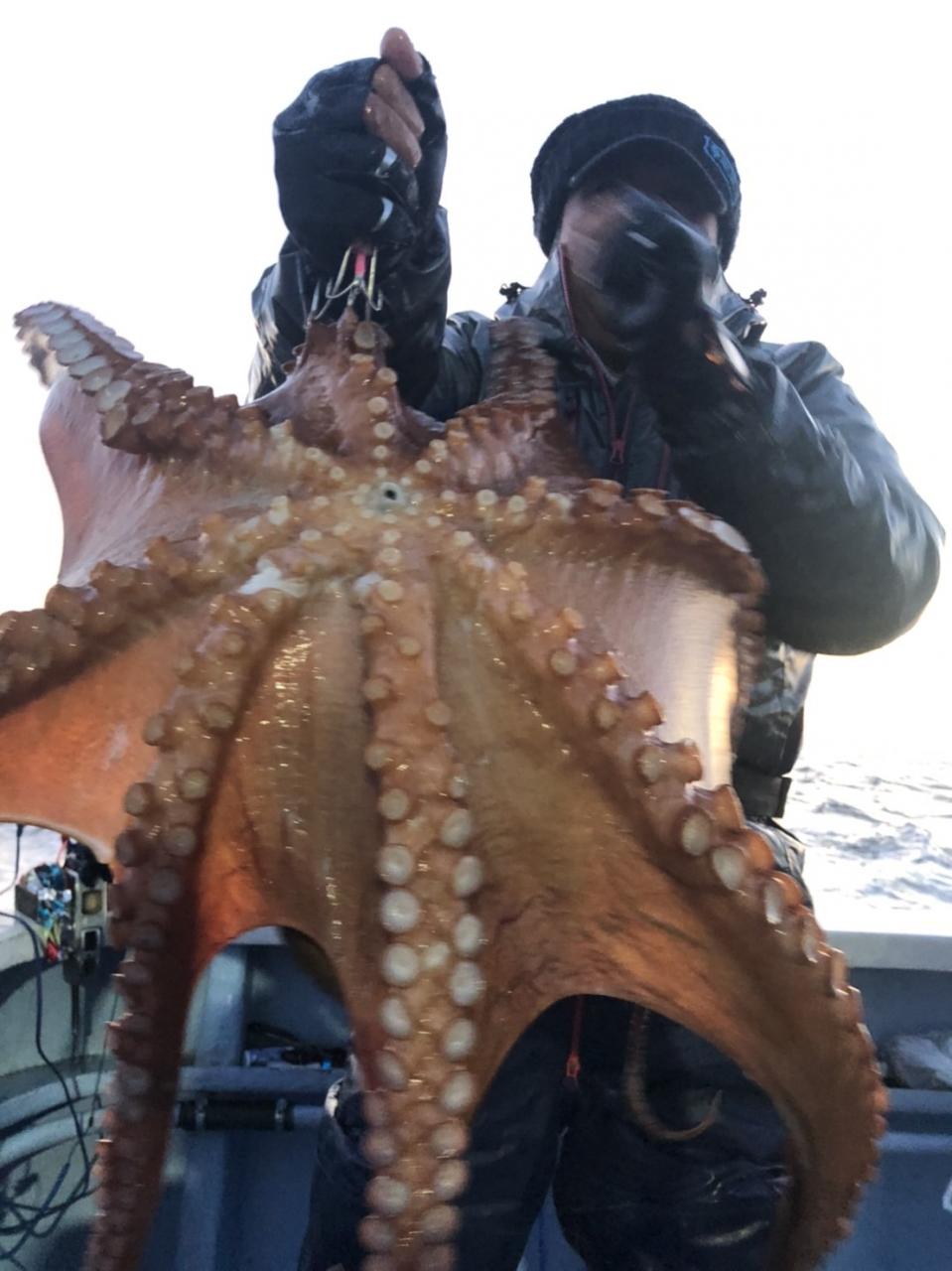鹿島「第三幸栄丸」で5キロ超の大ダコ浮上