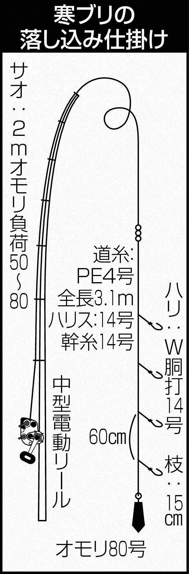 寒ブリの落し込み仕掛け