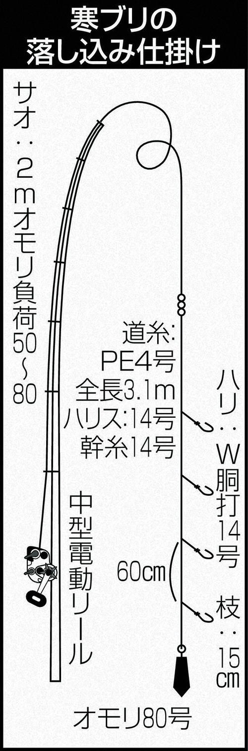 寒ブリの落し込み仕掛け
