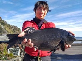 石廊崎「橋本屋」丸島で42・6センチ＝1・34キロメジナ。釣り人は井手さん