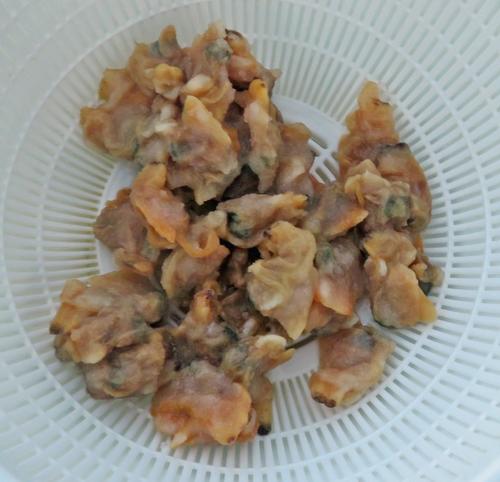 今回は塩漬けのアサリを使用。こだわりがつまった粒ぞろいだ