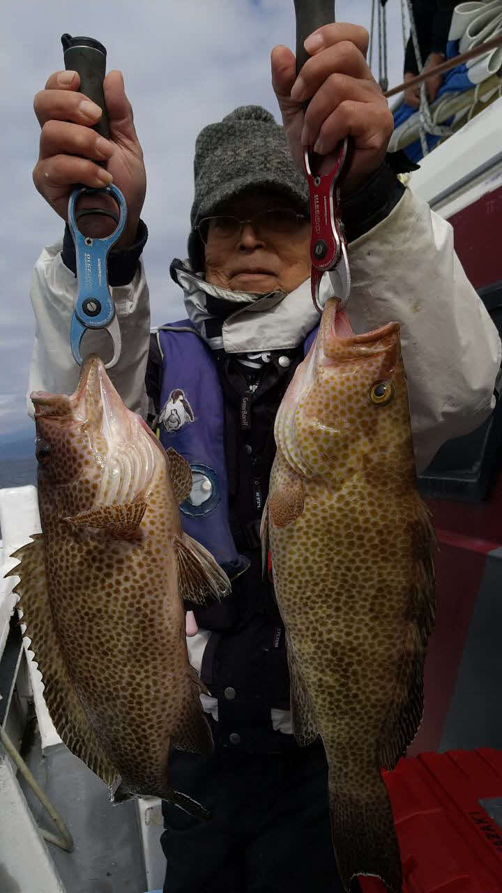 久料「魚磯丸」泳がせ釣りでオオモンハタなど食い好調