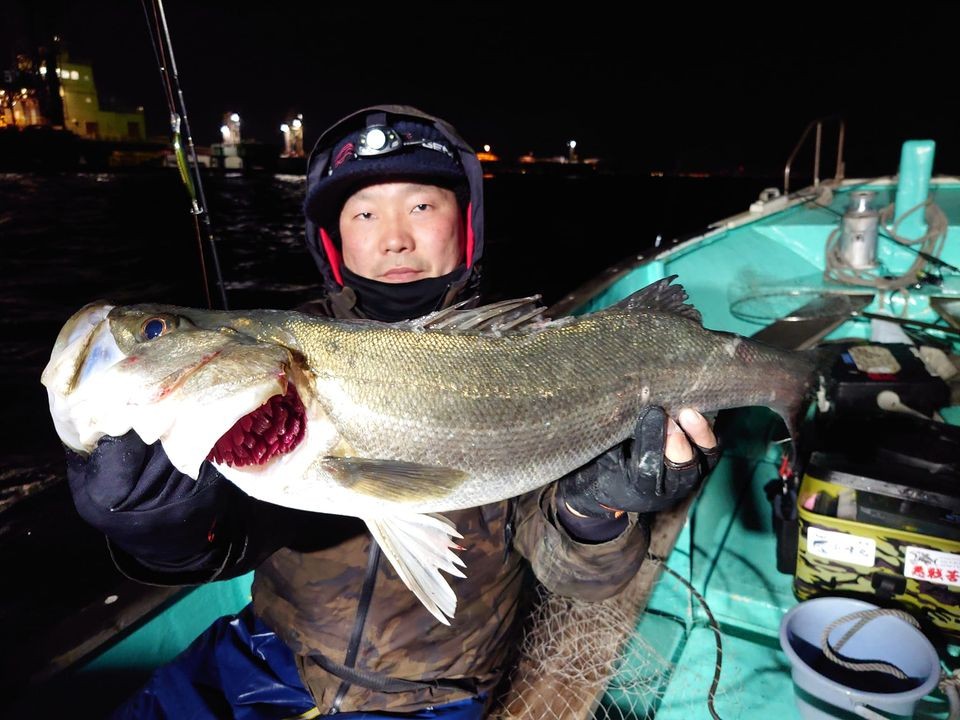千葉寒川「小峯丸」の夜シーバスが好調