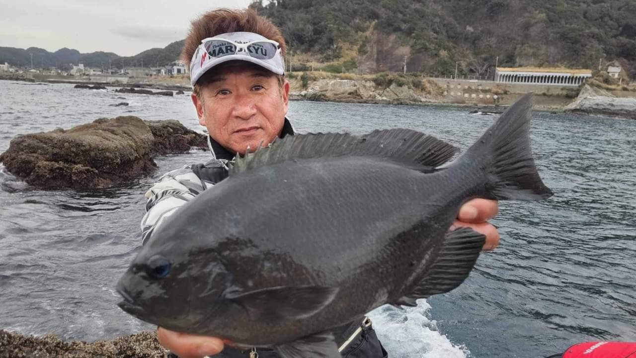 金谷「岡澤」沖磯でメジナ41センチ出た。釣り人は宇畑好二さん