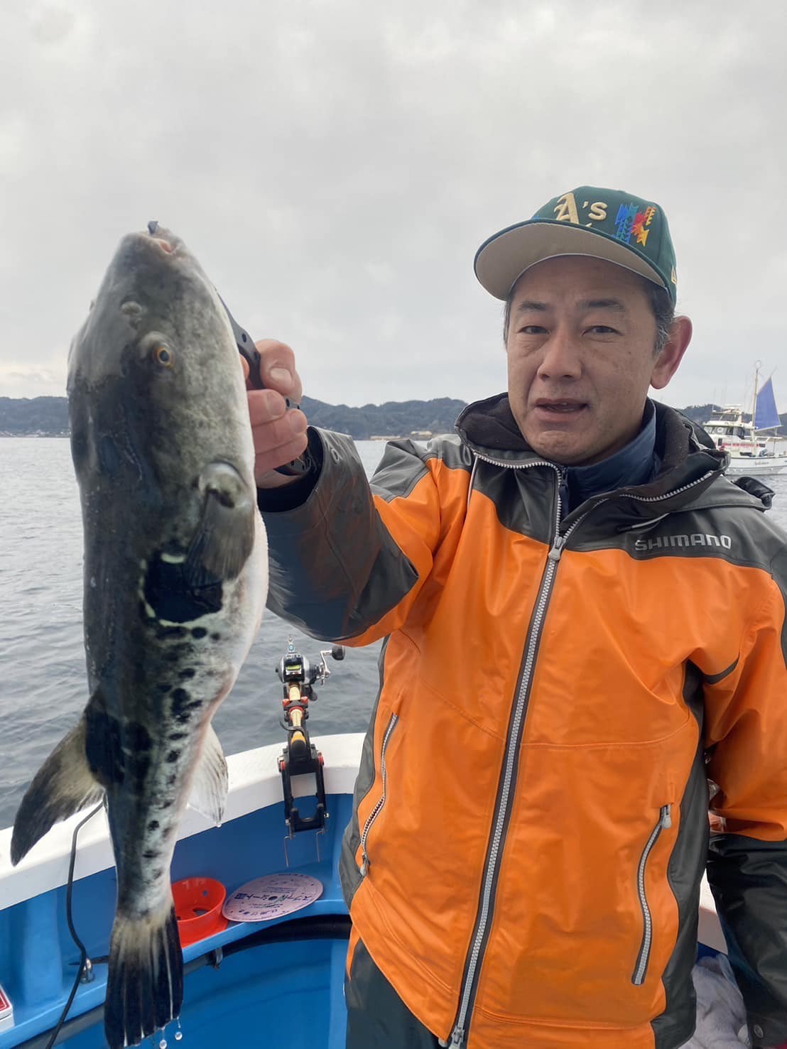 勝山「宝生丸」で釣れた1・3キロのトラフグ