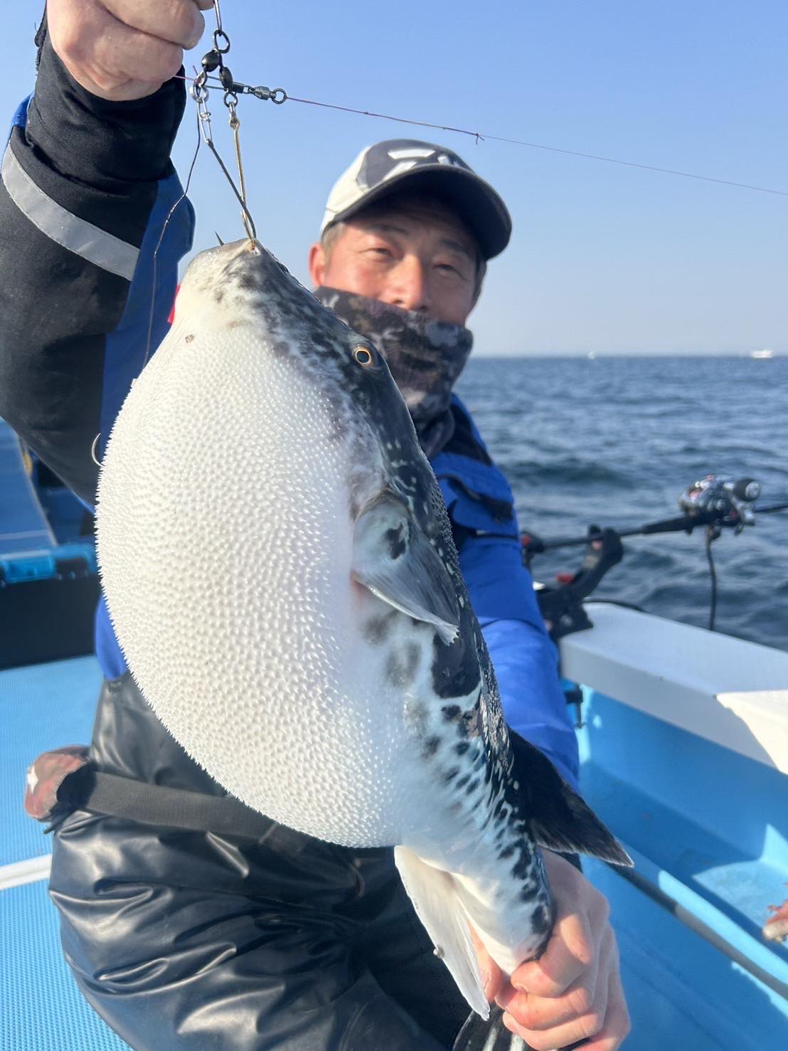 勝山「宝生丸」で3・8キロのトラフグが浮上