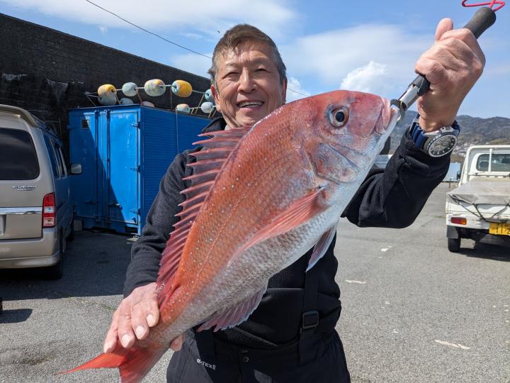 伊東「妙法丸」はマダイ好調。この日は最大2・2キロ浮上