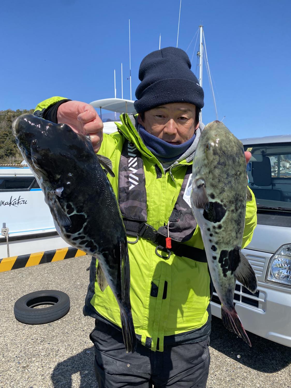 トラフグXデーはいつ？　勝山「宝生丸」で2キロ台のトラフグを釣り上げた常連さん