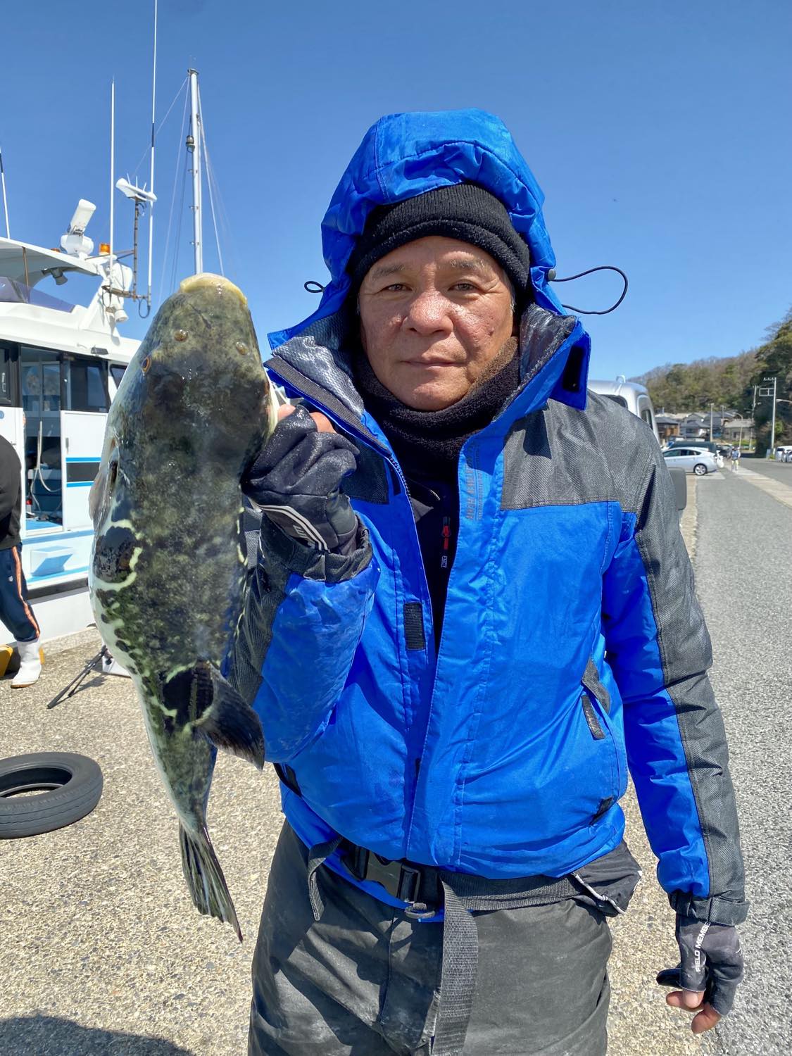 勝山「宝生丸」のトラフグ船で上がった2・3キロのトラフグ