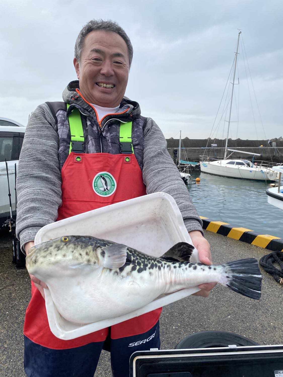勝山「宝生丸」で釣りあげられた3・7キロのトラフグ