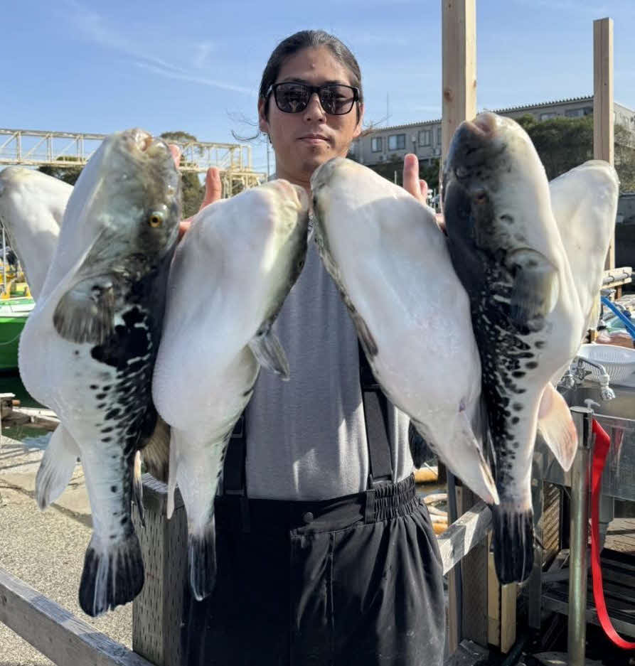 川崎「つり幸」ではトラフグ祭りの気配？