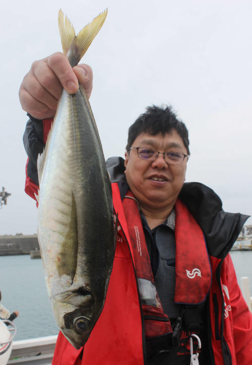 池田さんが釣り上げた50センチマアジ