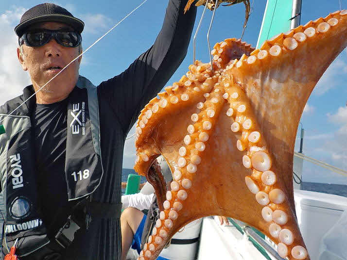 富津「みや川丸」では27日からマダコを狙う