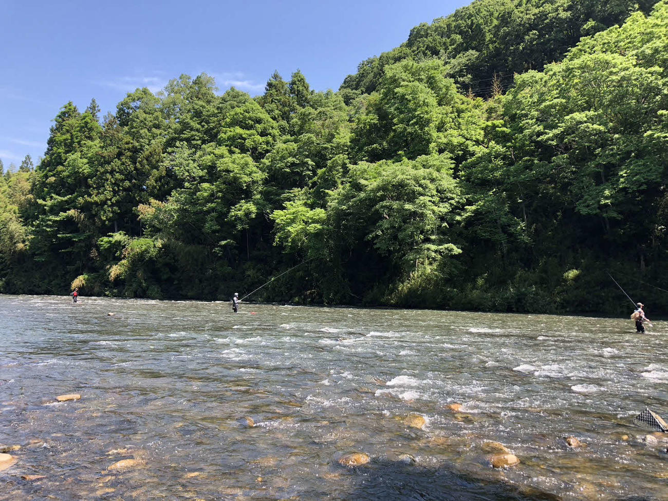 条件が好転して解禁初日からまずまずの釣果が目立った久慈川