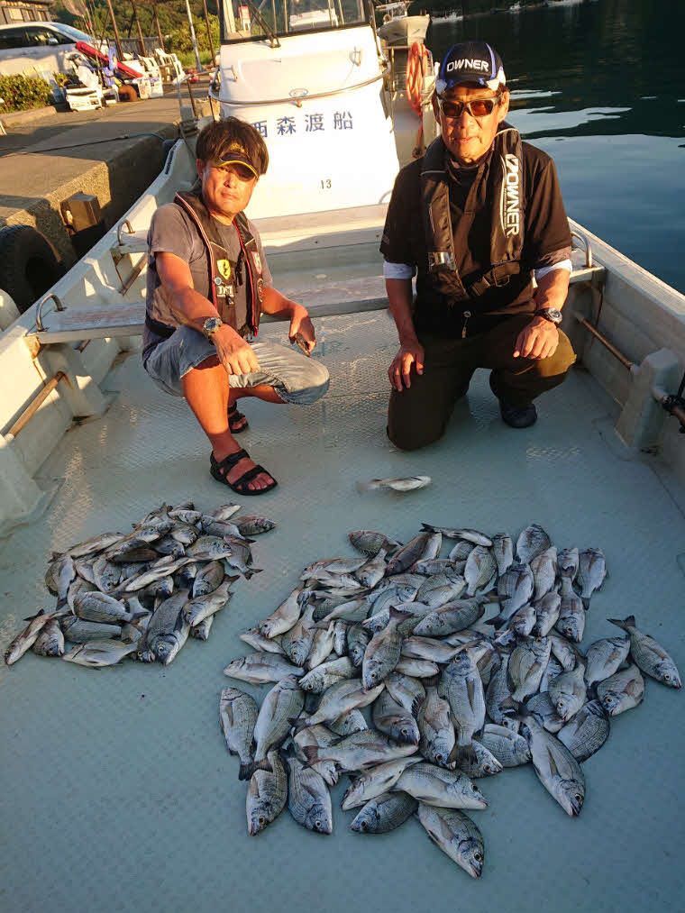 筆者が釣り上げた22～30・5センチの81匹のチヌ（右）と、山本さんが釣り上げた同型チヌ31匹