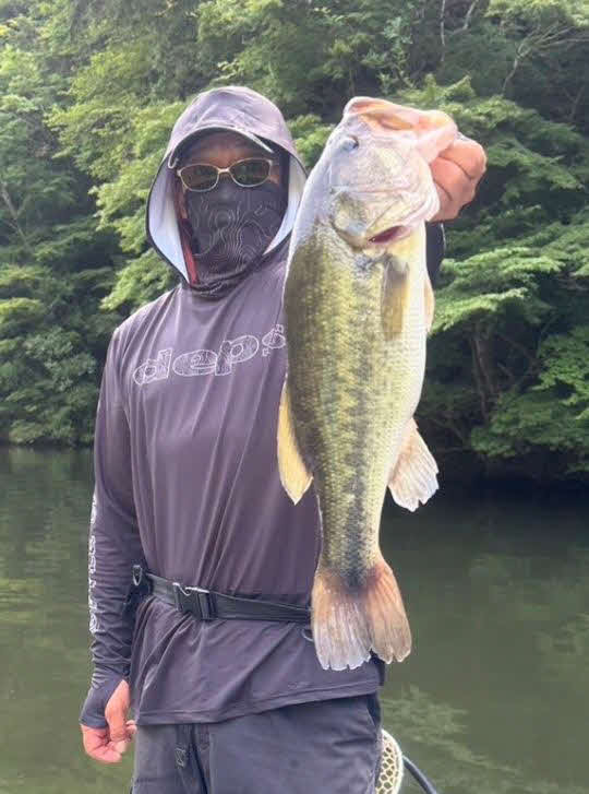 ワカサギを狙って高活性を見せる亀山湖のバス