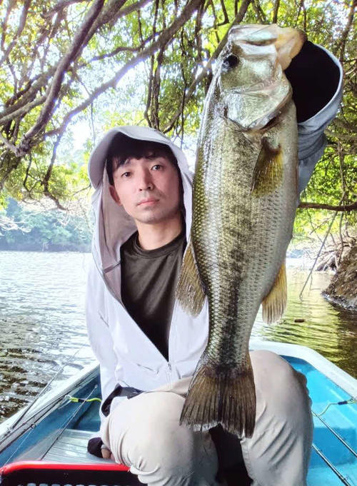 湖全体で釣れている好調三島湖のバス