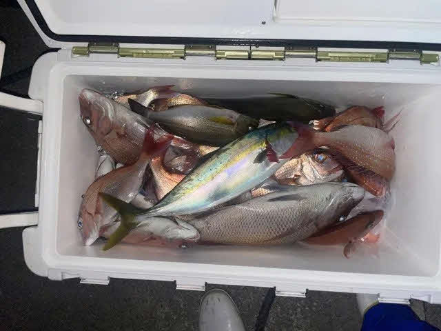 竿頭の小竹さんの釣果